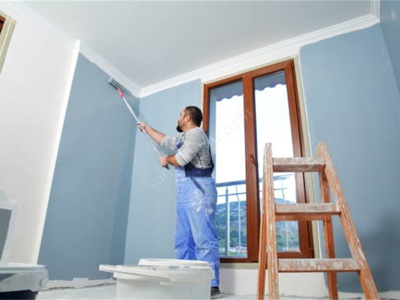 Basınsitesi Boya Badanacı