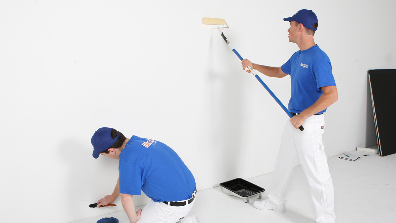 Basınsitesi Boya Badanacı